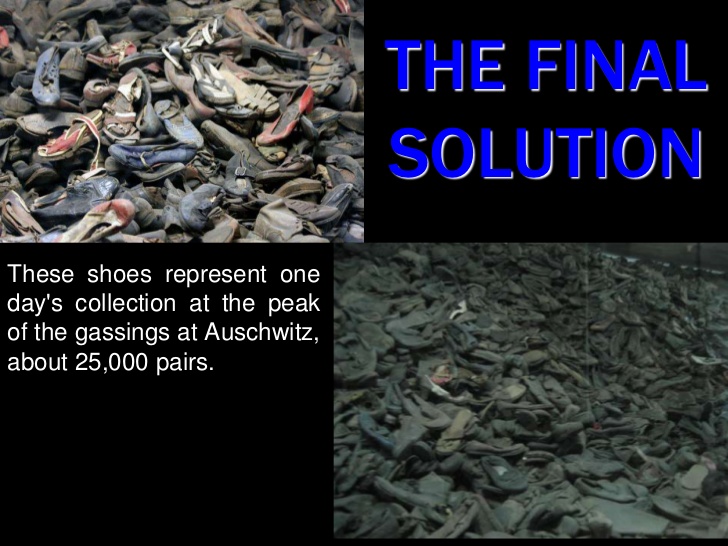 the-final-solution-1-728
